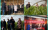 現(xiàn)代農(nóng)業(yè)技術(shù)系開展“喜迎己亥新春佳節(jié)、送科技送文化下鄉(xiāng)”主題黨日活動